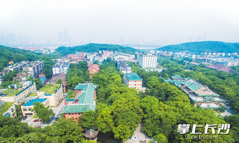 岳麓山下大学城,聚集着众多高校和科研院所,为岳麓区发展提供着源源不