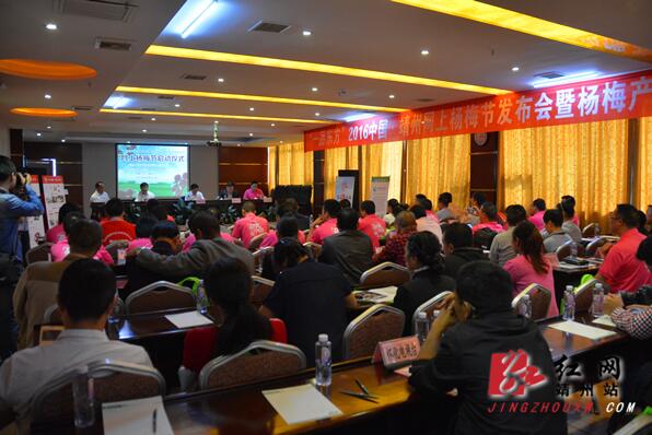 2016靖州网上杨梅节启动仪式现场