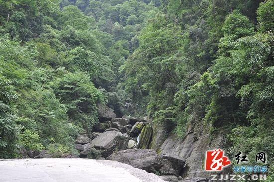 桑植：刘卫兵深入乡镇实地调研旅游资源分布情况