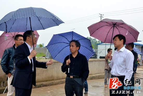 刘尧臣来张家界调研环保工作