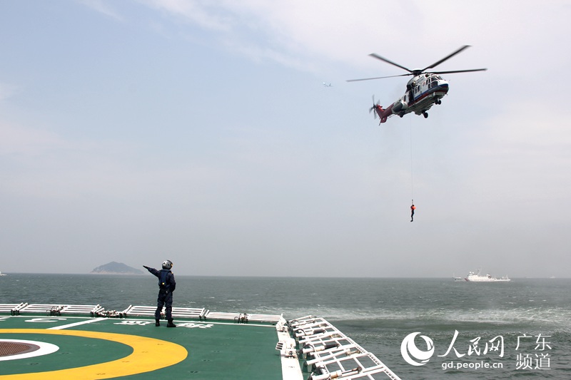 直升机将落水人员转移到海巡31上。钟哲 摄