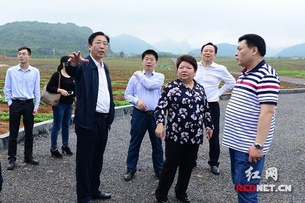 王志群（左一）在江永县夏橙资产收益扶贫示范项目基地考察