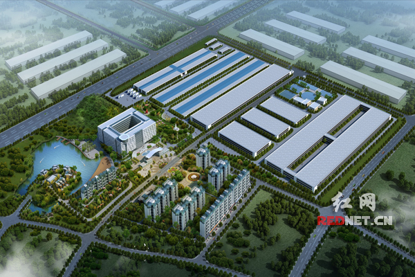 蓝思科技在湖南浏阳经开区新项目基地规划图陈俊杰摄