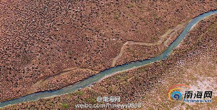 图片默认标题