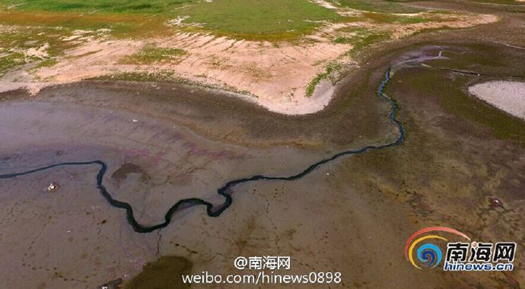 图片默认标题