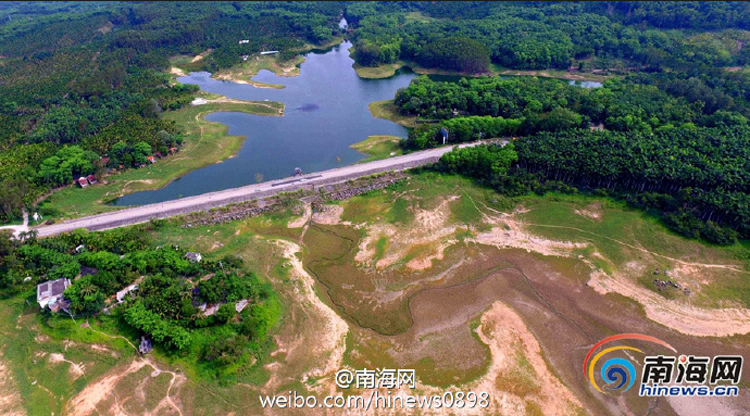 图片默认标题