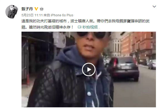 甄子丹去母亲麦宝婵宗师的武馆