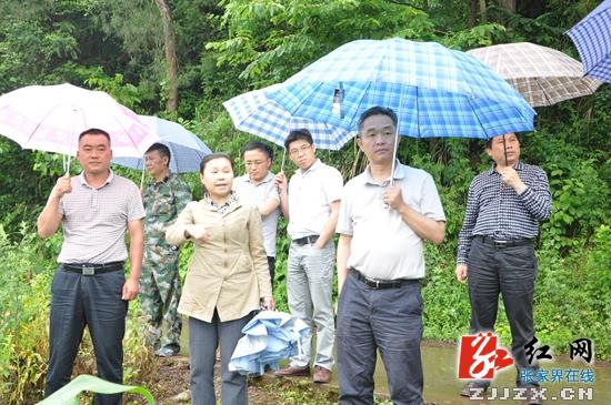 桑植：刘卫兵督查官瑞公路建设