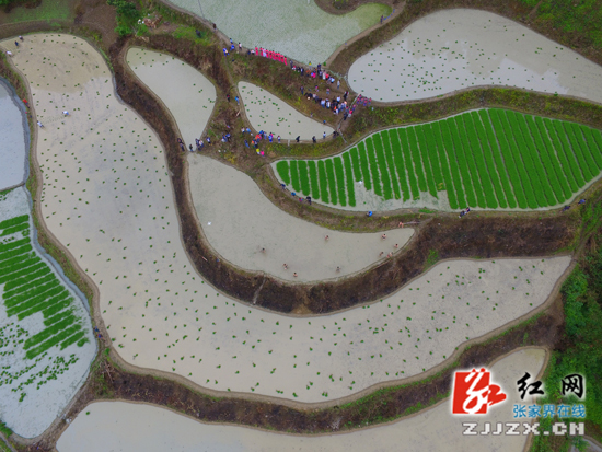 弘扬农耕文化 张家界举行土家族农耕文化节