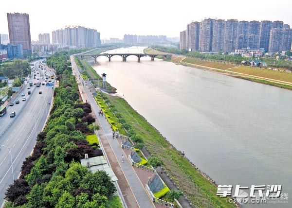 市民可以在绿道上漫步、骑行，惬意享受沿途的风景。图为浏阳河风光带西岸的城市绿道。长沙晚报记者李锋摄