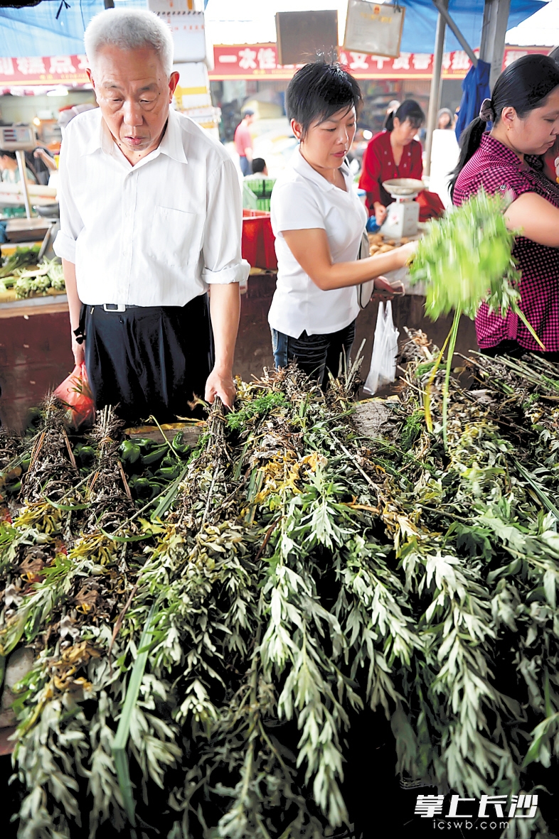 　　传统文化的根仍深植长沙民众心中，每到蒲艾飘香时节，总让人为长沙人重视端午佳节而感动。