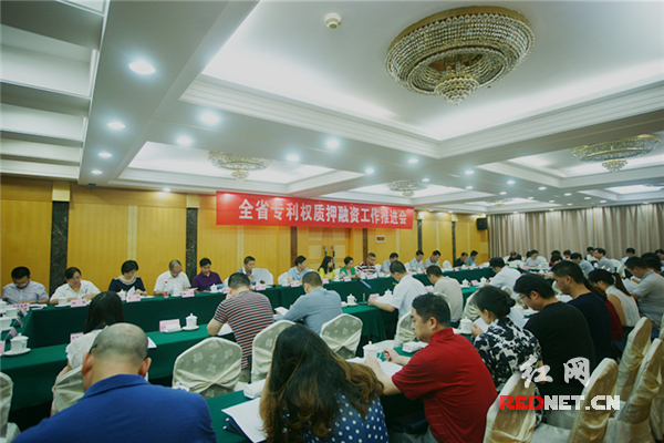 6月7日上午，湖南省专利权质押融资工作推进会在长沙举行。