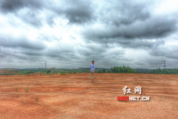 蒋小毛站在村里的一片荒地上告诉记者,这里也将搭起食用菌养殖大棚,到时又可以解决村里很多人的就业问题。