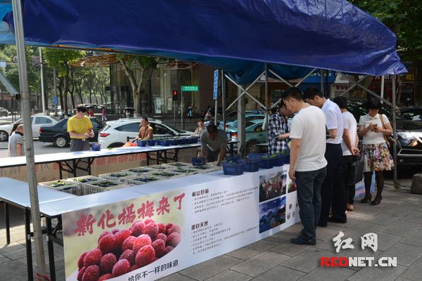 6月14日，中国城戴斯酒店腾出酒店前坪，派出工作人员，帮助新化杨梅产业协会的工作人员卖杨梅。