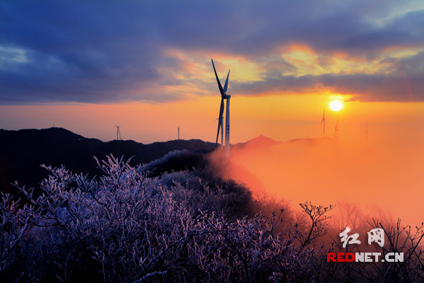 古台山林场是看日出、观云海的好去处