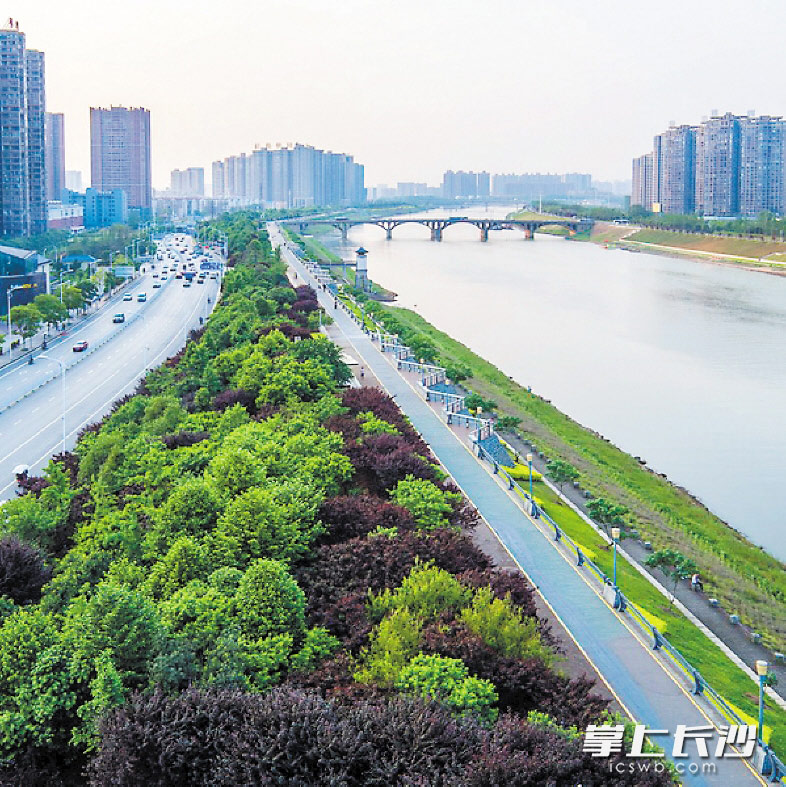 随着绿道建设的不断推进，市民和游客骑自行车休闲的地点越来越多。