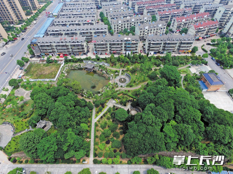 石人冲安置小区前碧波荡漾的池塘,原来只是一个默默无闻的泥潭,通过绍基文化公园的建设,这里成了居民们的后花园。长沙晚报记者 邹麟 摄