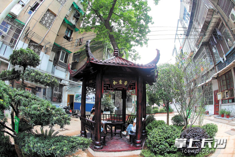 仰天湖社区一单位宿舍的围墙被拆除后,原地建成小游园。长沙晚报记者 陈飞 摄