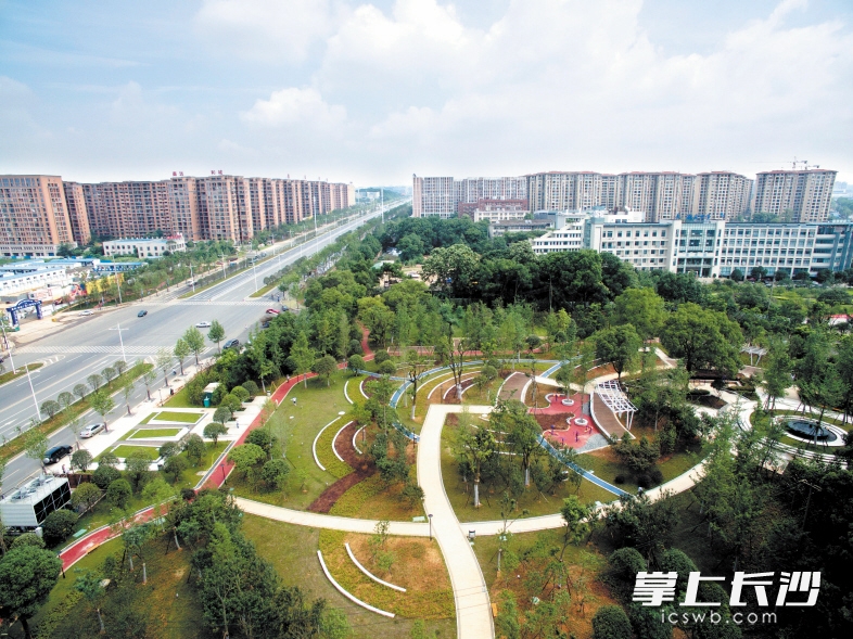 　　先锋公园是天心区拆违、造绿的成果，从原先脏乱差的违建房变成了环境宜人的休闲地。长沙晚报记者 石祯专 摄