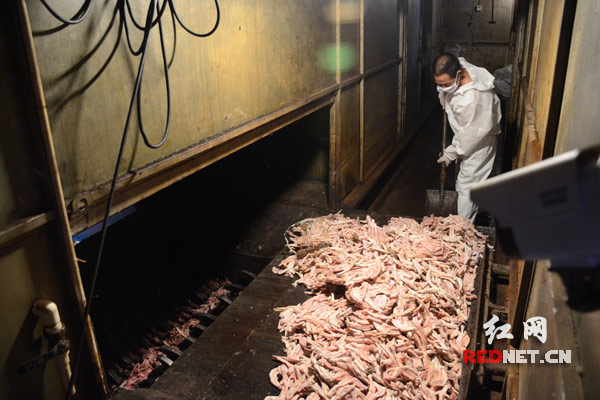 销毁的来源不明冷冻肉品涉及牛肉、牛肚、鸡爪、鸭掌等9个品种，货值金额600余万元。