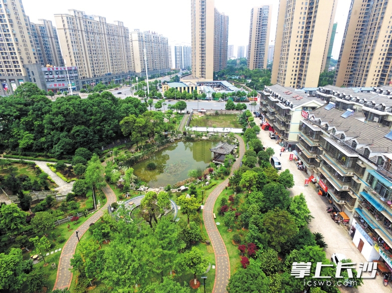 　　石人冲安置小区前碧波荡漾的池塘，原来只是一个泥潭，通过绍基文化公园的建设，这里成了居民休闲的好去处。长沙晚报记者 邹麟 摄