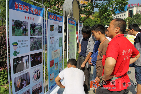 市民观看展板资料