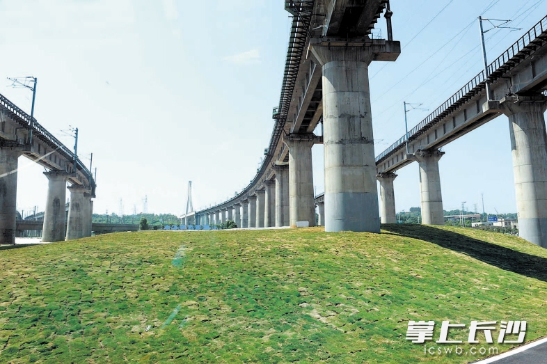 东山片区拆违复绿工程将高铁沿线和湘府路、花侯路两厢作为复绿节点项目重点打造，取得良好的景观效果。