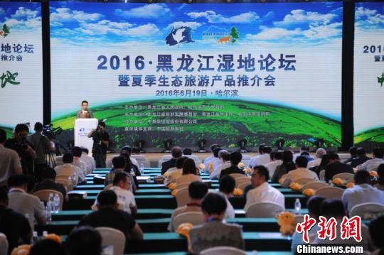 黑龙江评选十大最美湿地突显国际生态保护理念