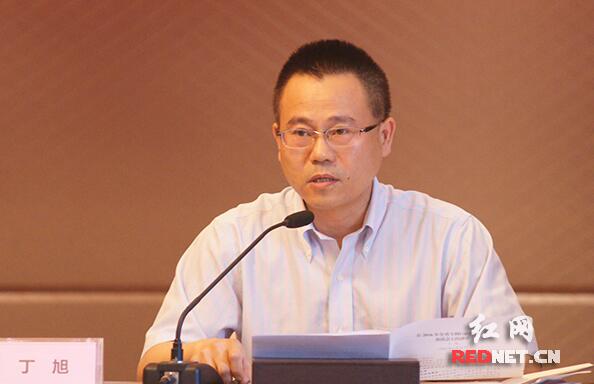 湖南省知识产权局党组成员、副局长丁旭。