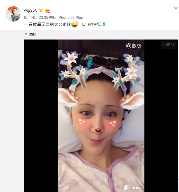 张歆艺玩小鹿斑比