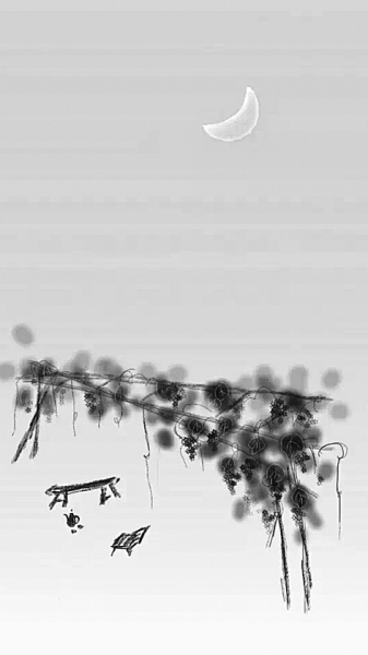 插图：殷燕召