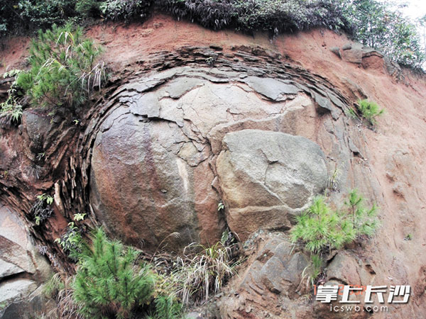 大围山花岗岩球状风化现象丰富，形成一个个“石蛋”。