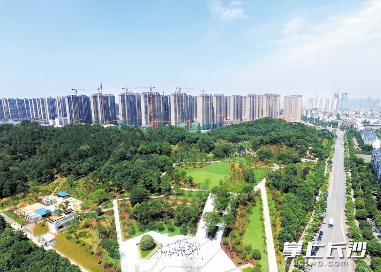 　　今年的蓝天白云日数明显多于往年,城市变绿变美了，市民的获得感倍增。  