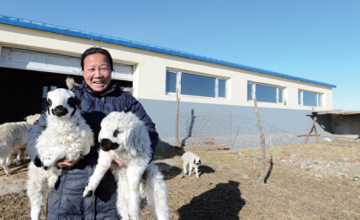 牧区建设