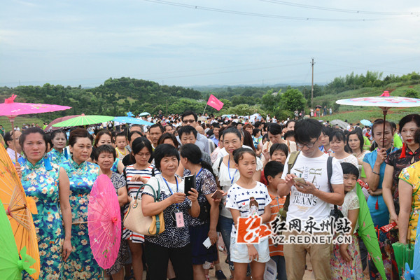 现场游人如织
