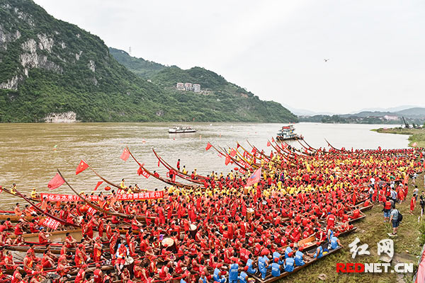 每年的农历五月十四、十五，溆浦县大江口镇沅水河面上，都会举行传统龙舟竞渡活动。30余条龙舟