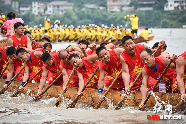 在震天动地的呐喊声、唢呐声、锣鼓声、鞭炮声、助威声中龙舟似箭齐发 ，水手们齐声号子排山倒海