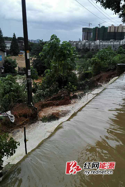  持续降雨，造成望城部分地区防汛情况严峻