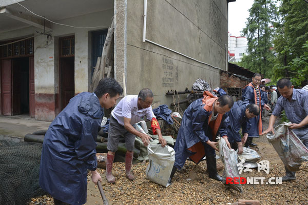 益阳市赫山区人民法院干警正在准备堵管涌的沙袋。