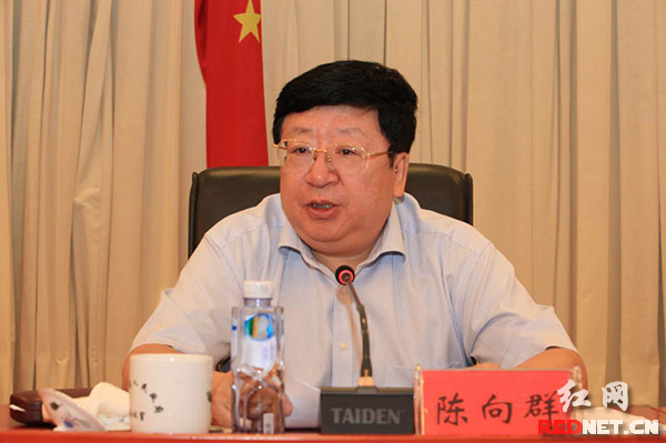湖南省委常委、常务副省长陈向群作讲话。