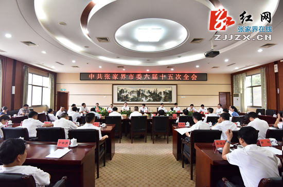中共张家界市委六届十五次全会 照片