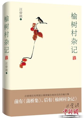 《榆树村杂记》立体书封。
