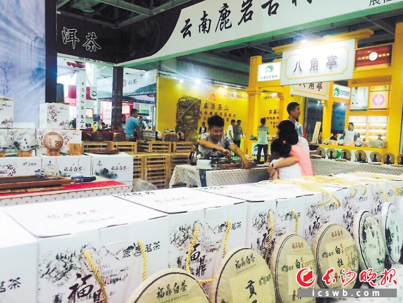 在湖南省国际会展中心举行的华巨臣第二届茶博会观展者寥寥，看似水土不服，但参展商表示，招揽到有效客户尤其是经销商比人流量更重要。长沙晚报记者 周辉霞 摄