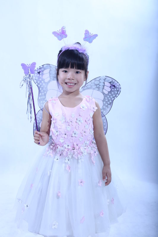 蝴蝶主演丁小妹