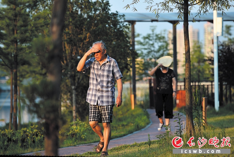 昨日下午，市民用蒲扇遮挡着阳光在西湖公园散步。