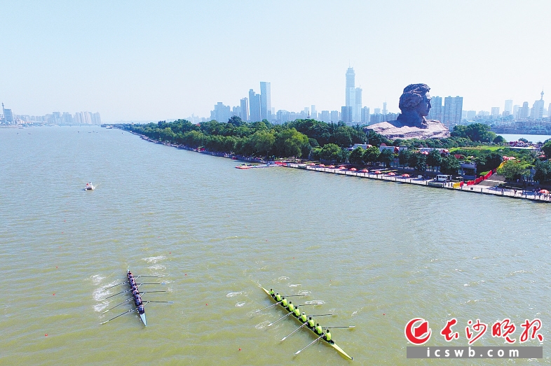 昨日，2016中国长沙国际名校赛艇挑战赛在橘子洲头拉开帷幕，21支中外名校队参加比赛。长沙晚报记者黄启晴 摄