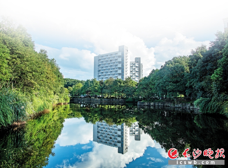 湖南涉外经济学院的美丽校园。 