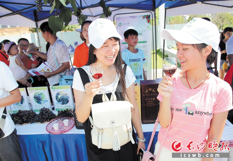 青山铺葡萄文化节上，市民尝葡萄，品美酒，其乐融融。 长沙晚报记者 陈飞 摄