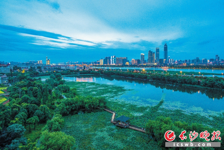 ↑近日，长沙空气质量良好，傍晚时分，华灯初上，从绿意葱茏的桃子湖眺望湘江东岸，整个城市在湛蓝天幕下显得格外迷人。长沙晚报记者 邹麟 摄