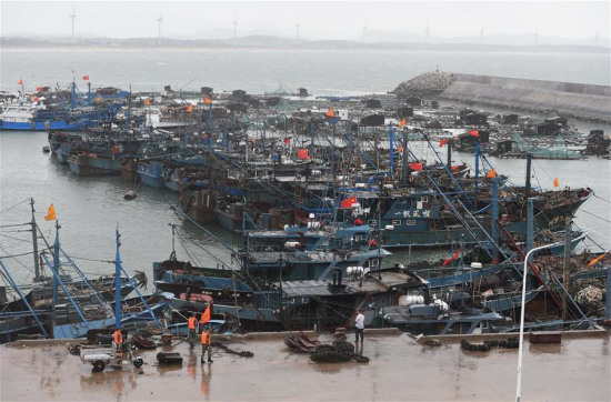 Fishing boats berth at a port to take shelter from the upcoming Typhoon Nida in Dongshan County, southeast China's Fujian Province, Aug. 1, 2016. (Xinhua/Lin Shanchuan) 